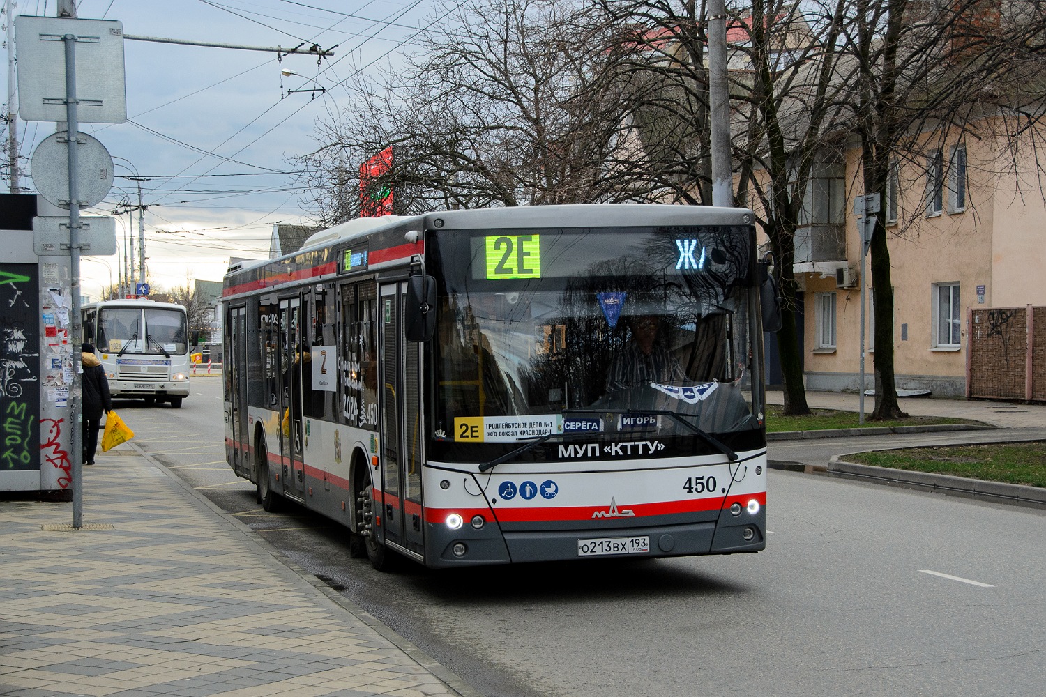 Krasnodar region, MAZ-203.016 č. 450