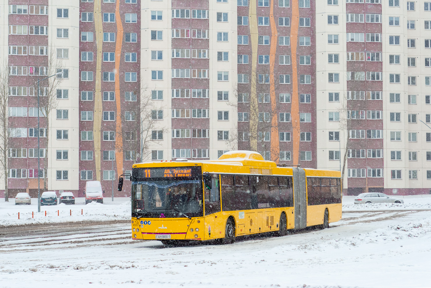 Брестская область, МАЗ-215.069 № 45325