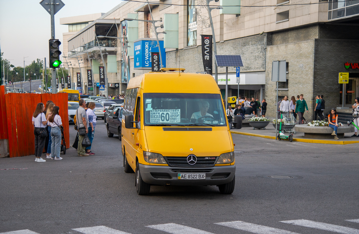 Днепропетровская область, Mercedes-Benz Sprinter W903 313CDI № AE 8522 BX