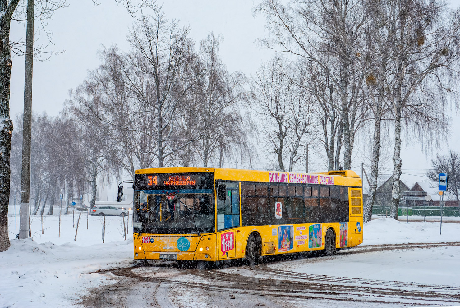 Брестская область, МАЗ-203.016 № 45314