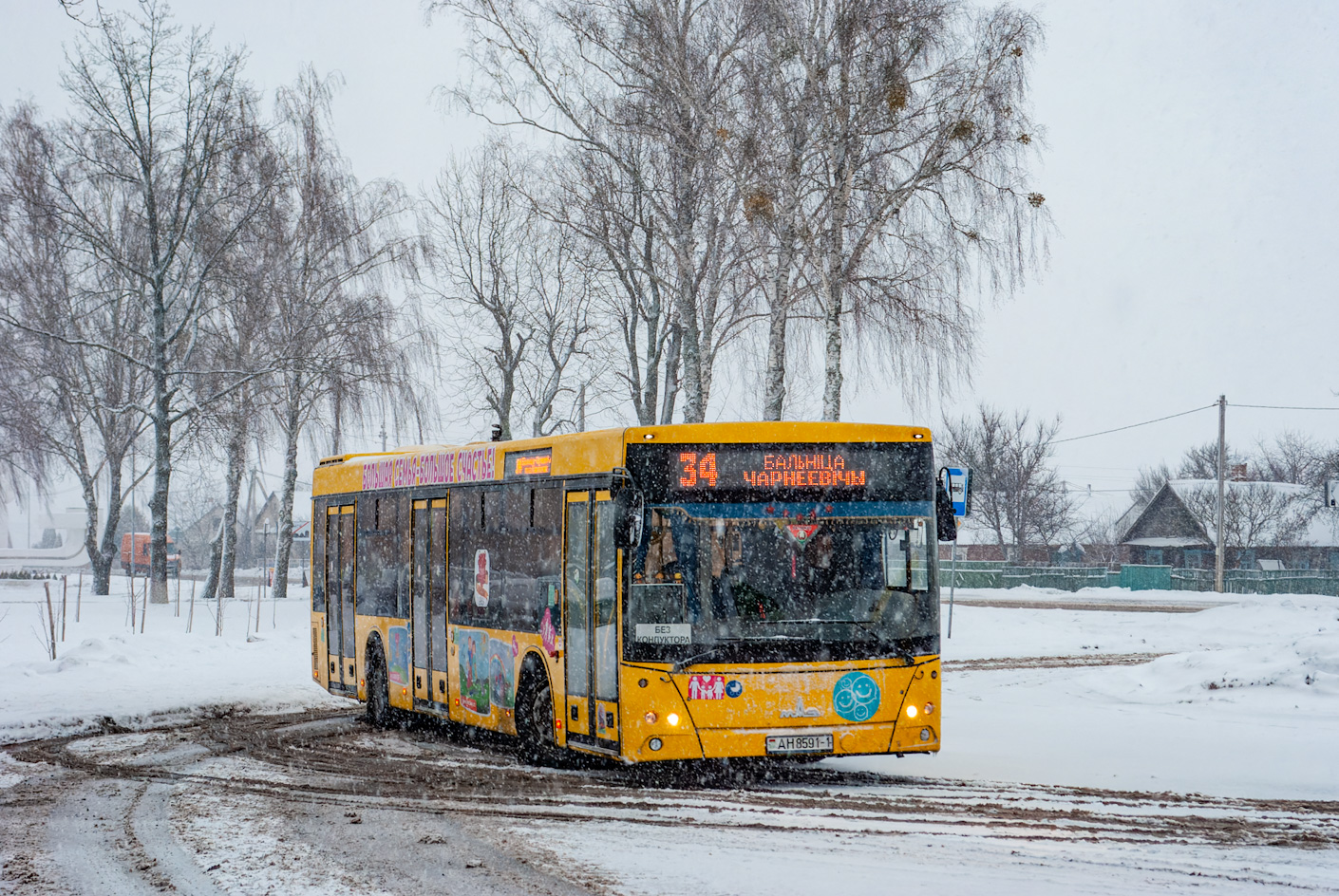 Брестская область, МАЗ-203.016 № 45314