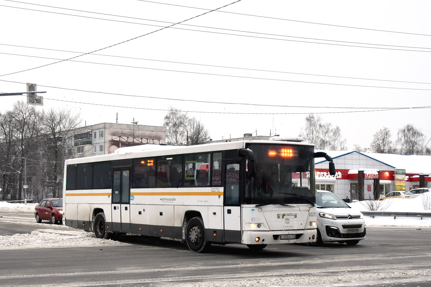 Московская область, ГолАЗ-525110-11 "Вояж" № 029731