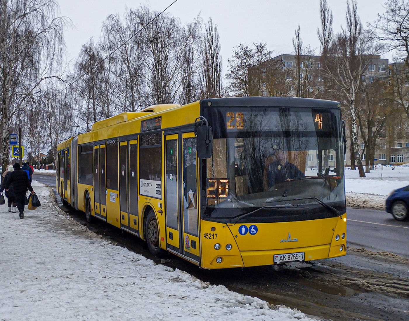 Брестская область, МАЗ-215.069 № 45217