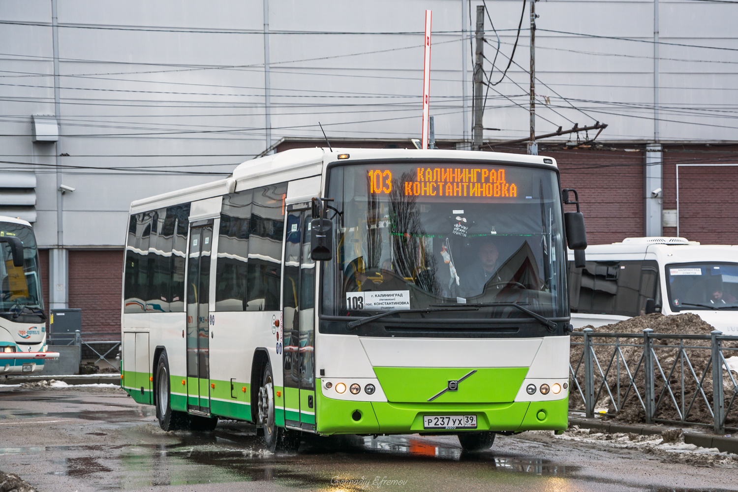 Kaliningrad region, Volvo 8700LE č. Р 237 УХ 39