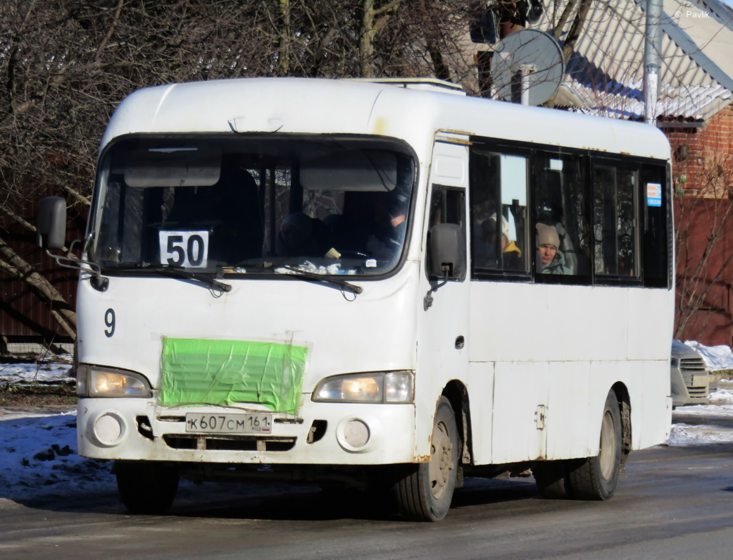 Ростовская область, Hyundai County LWB C10 (ТагАЗ) № 9