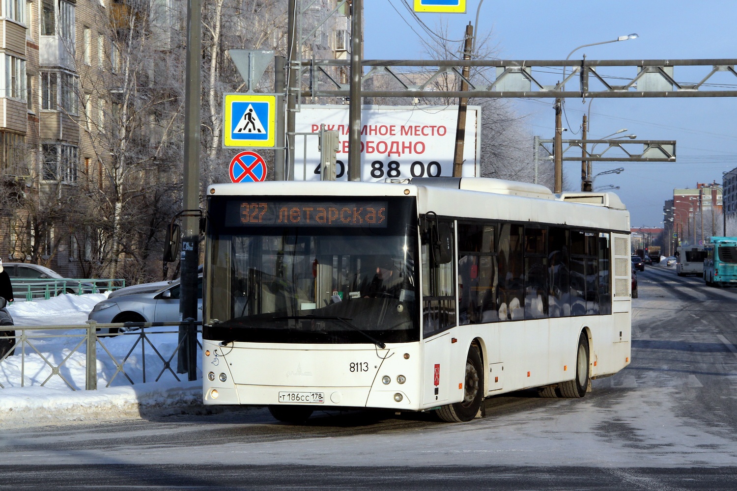 Санкт-Петербург, МАЗ-203.085 № 8113