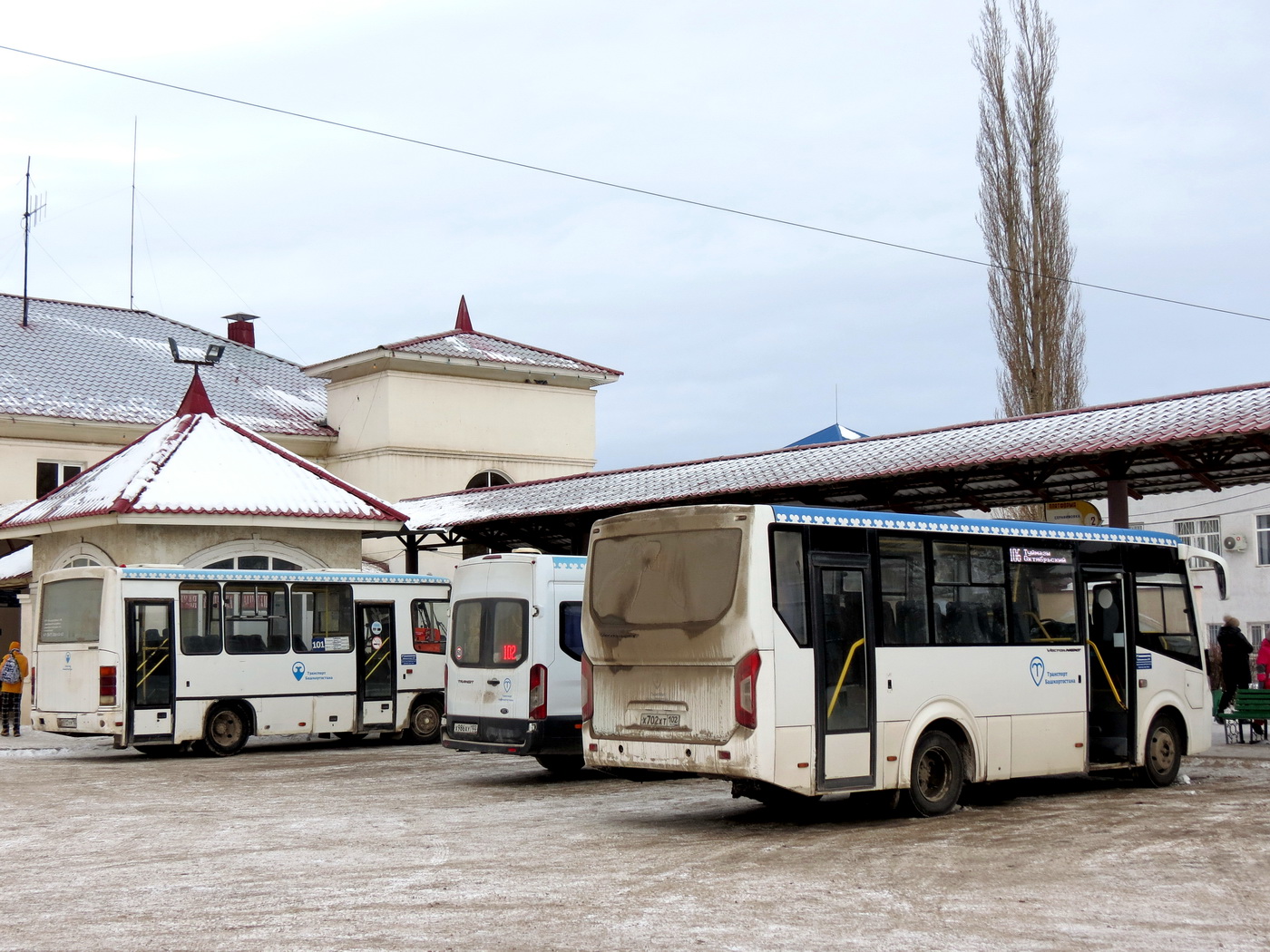 Bashkortostan, PAZ-320405-04 "Vector Next" № 5650
