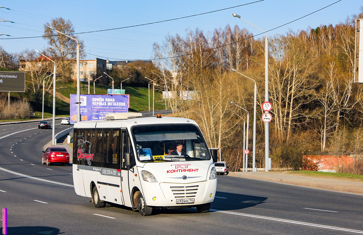 Новосибирская область, Неман-420224-11 № Е 934 МК 154