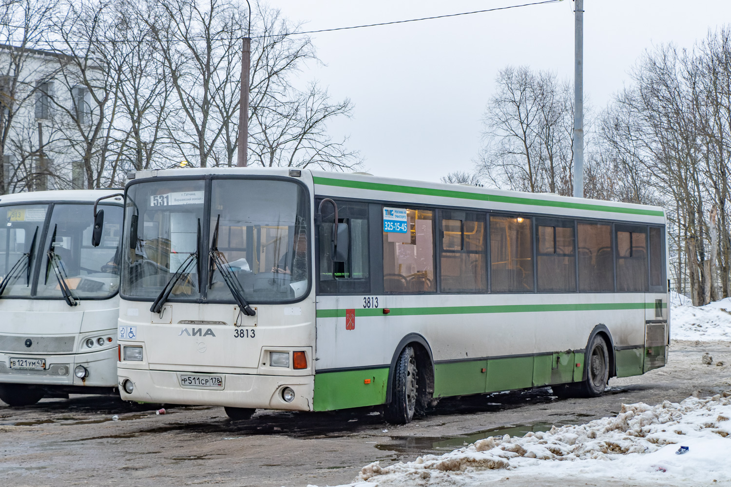 Ленинградская область, ЛиАЗ-5293.60 № 3813