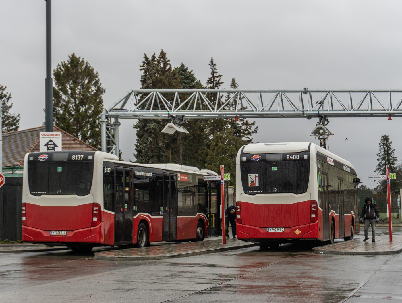 Австрия, Mercedes-Benz Citaro C2 № 8137; Австрия, Mercedes-Benz eCitaro № 8408