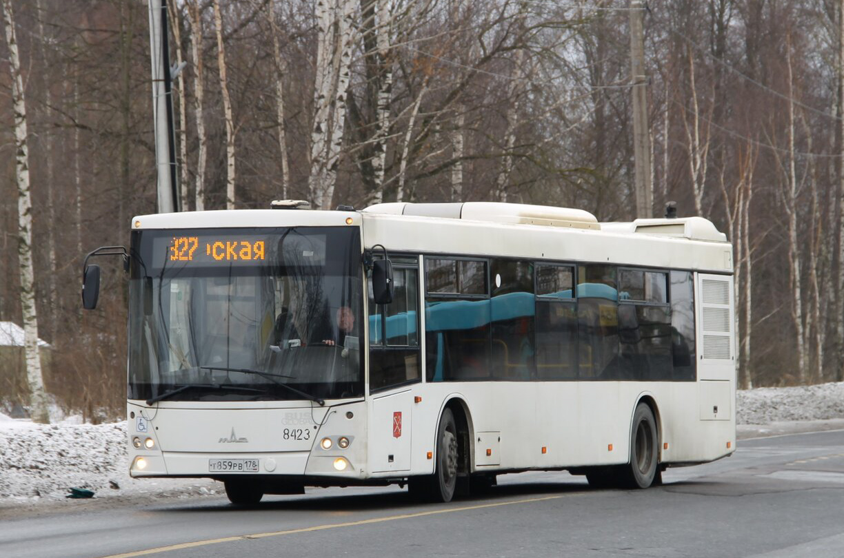 Санкт-Петербург, МАЗ-203.085 № 8423