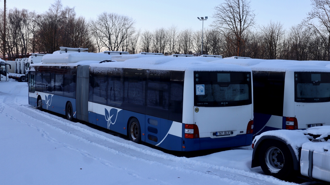 Эстония, MAN A23 Lion's City G NG313 CNG № 347 BLX