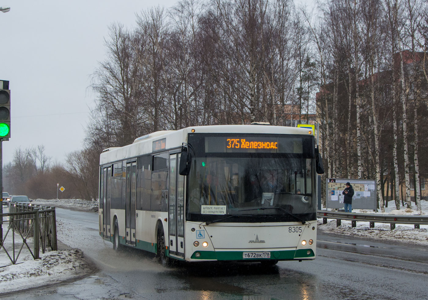 Санкт-Петербург, МАЗ-203.085 № 8305