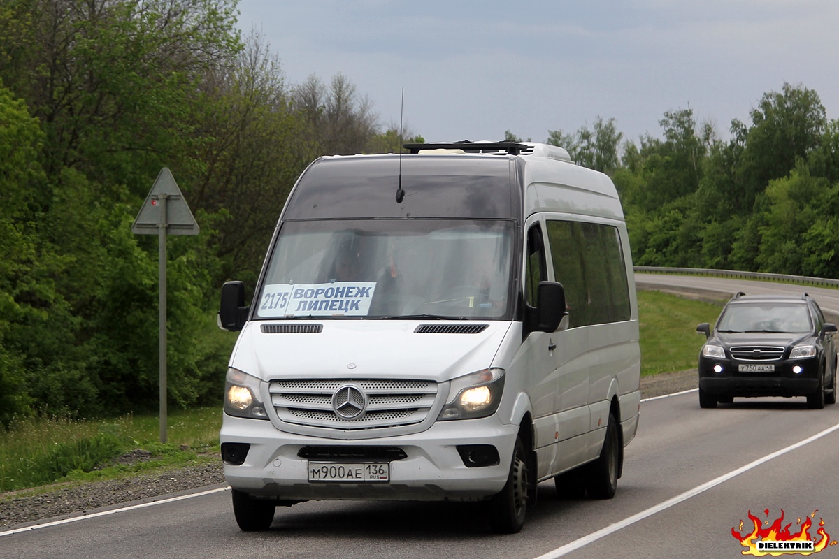Воронежская область, Луидор-223602 (MB Sprinter) № М 900 АЕ 136