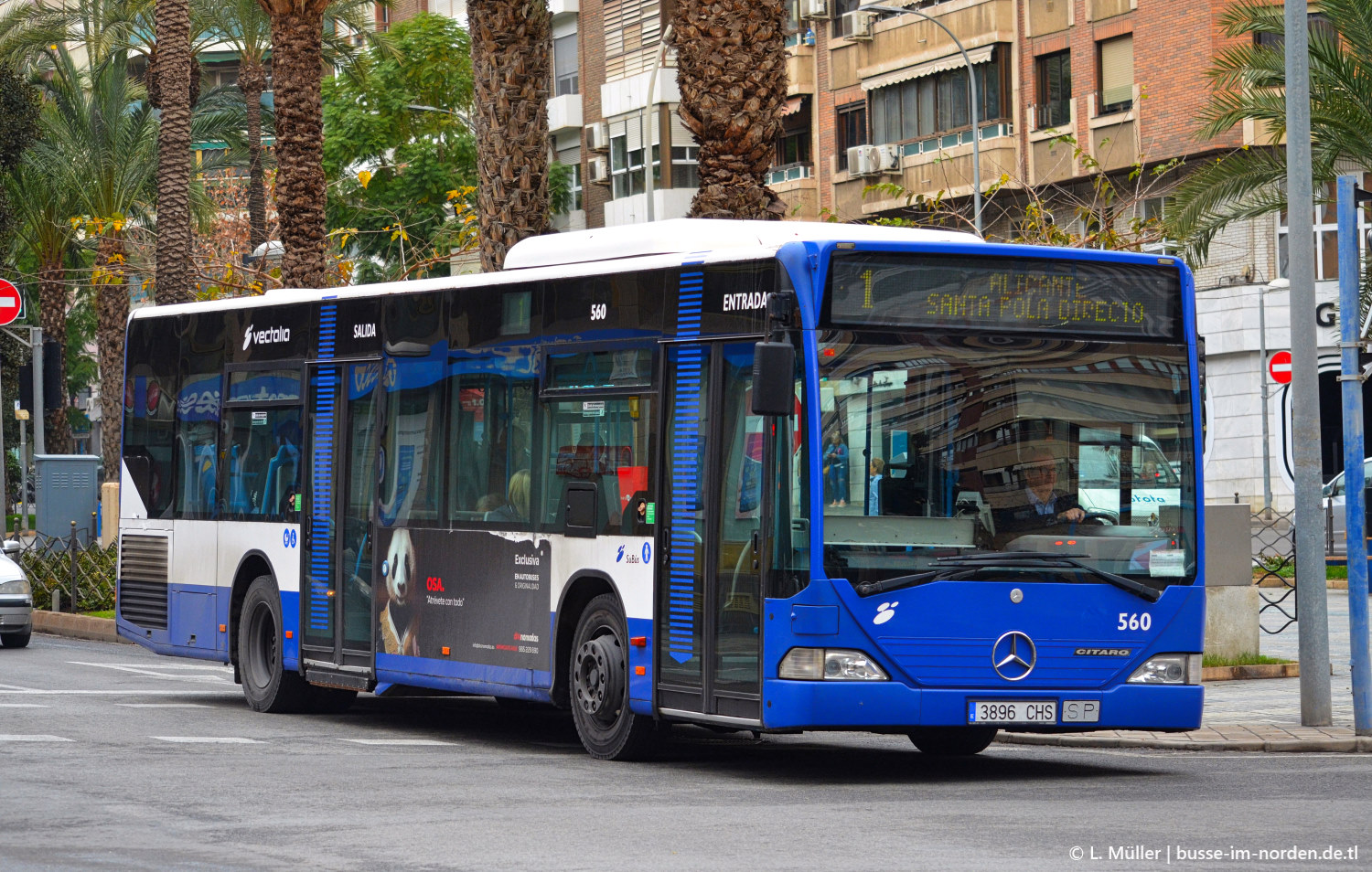 Ισπανία, Mercedes-Benz O530 Citaro (Spain) # 560