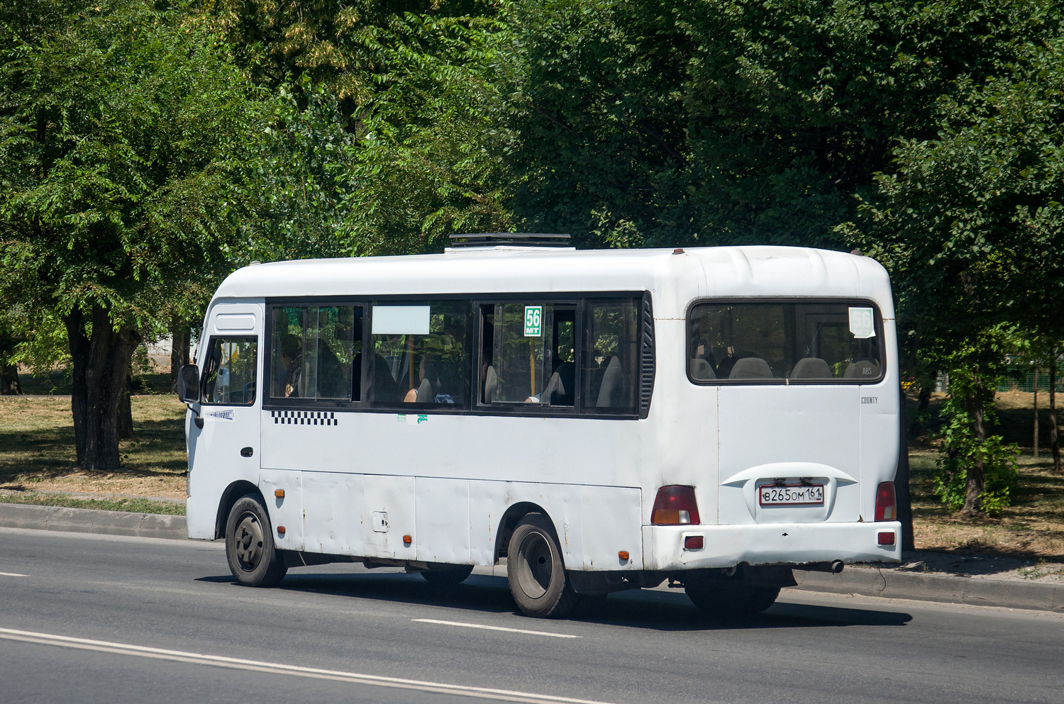 Obwód rostowski, Hyundai County LWB C11 (TagAZ) Nr В 265 ОМ 161