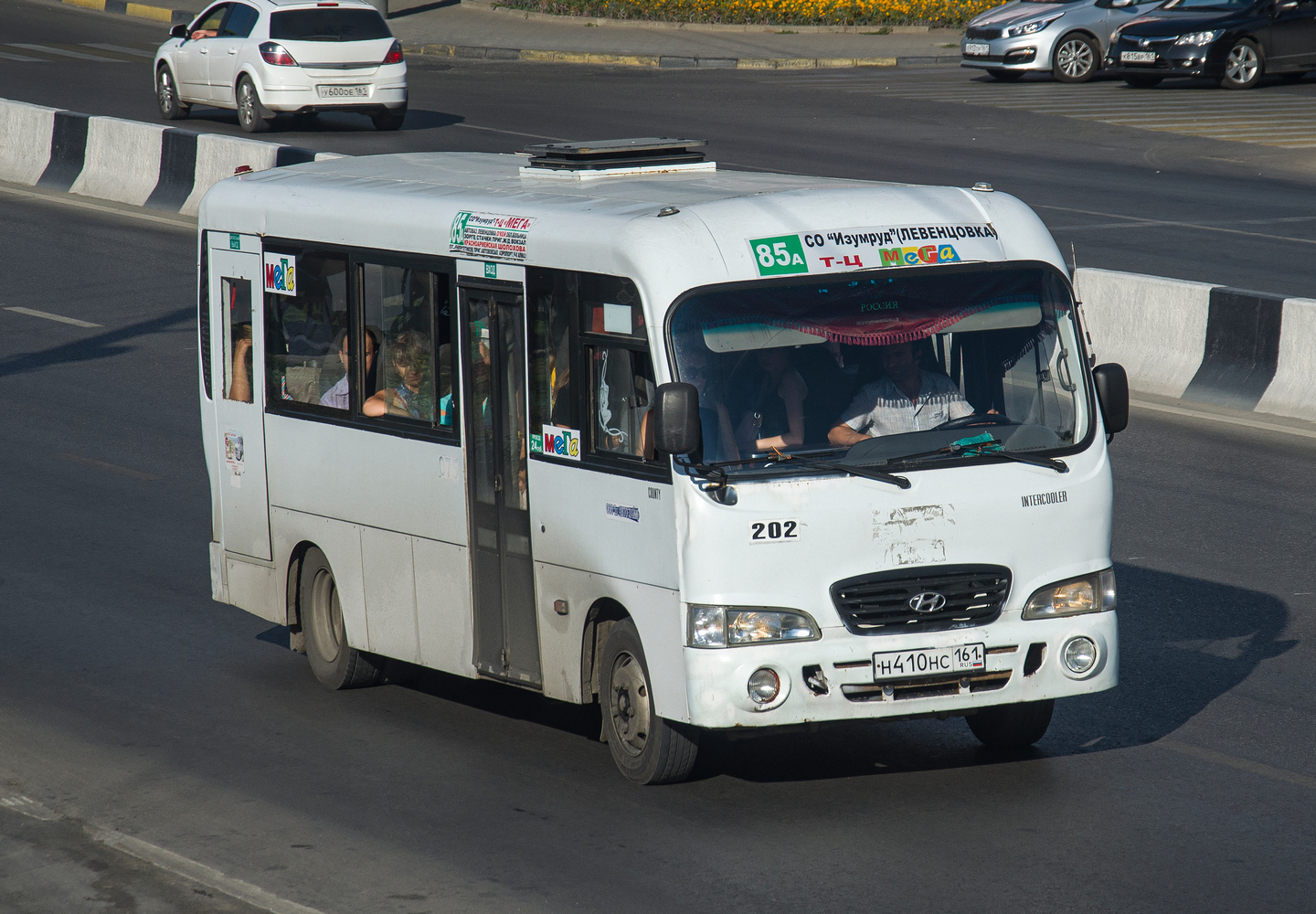 Ростовская область, Hyundai County LWB C09 (ТагАЗ) № 202