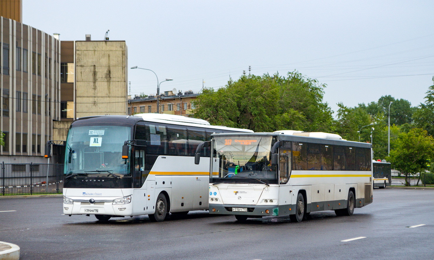 Московская область, ЛиАЗ-5250 № 1160