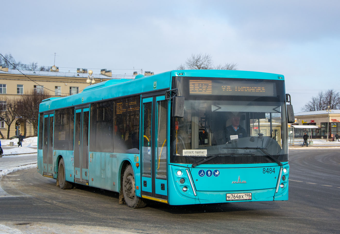 Санкт-Петербург, МАЗ-203.047 № 8484