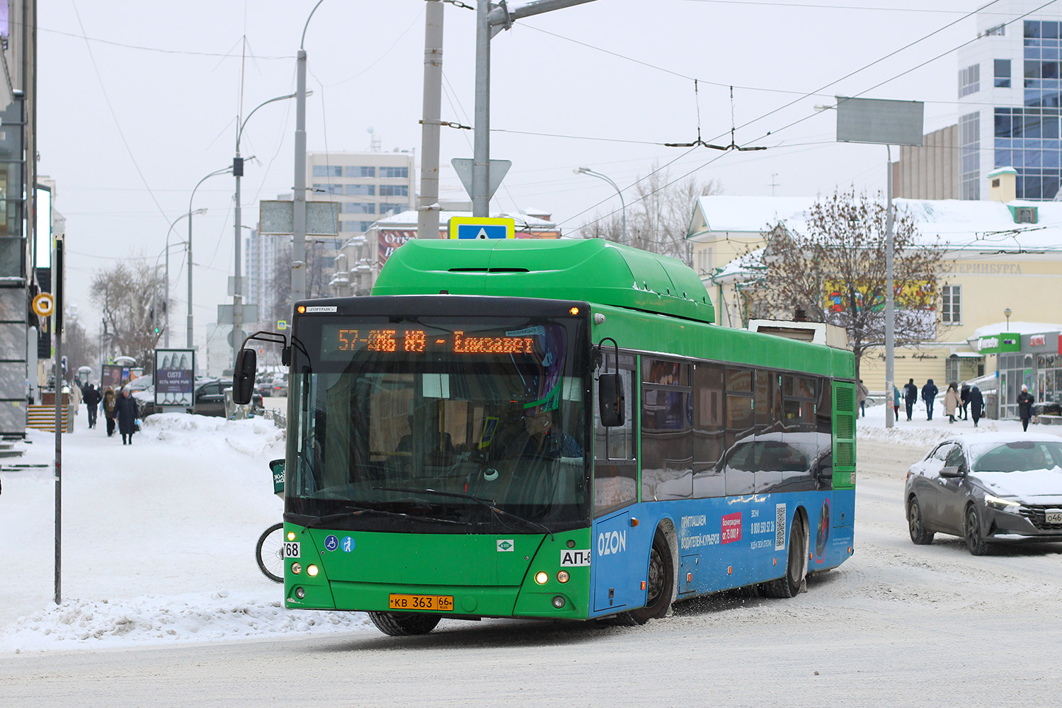 Свердловская область, МАЗ-203.L65 № 1768