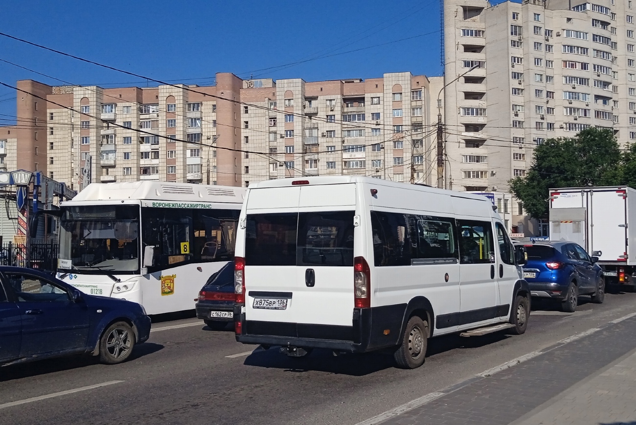 Воронежская область, Нижегородец-FST613 (FIAT Ducato) № Х 875 ВР 136