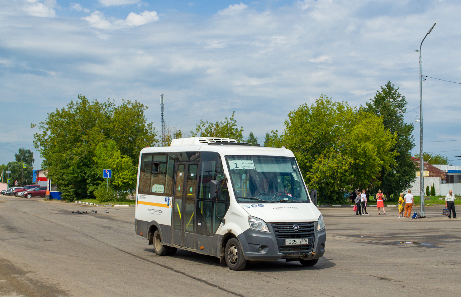 Московская область, Луидор-2250DS (ГАЗ Next) № 095056