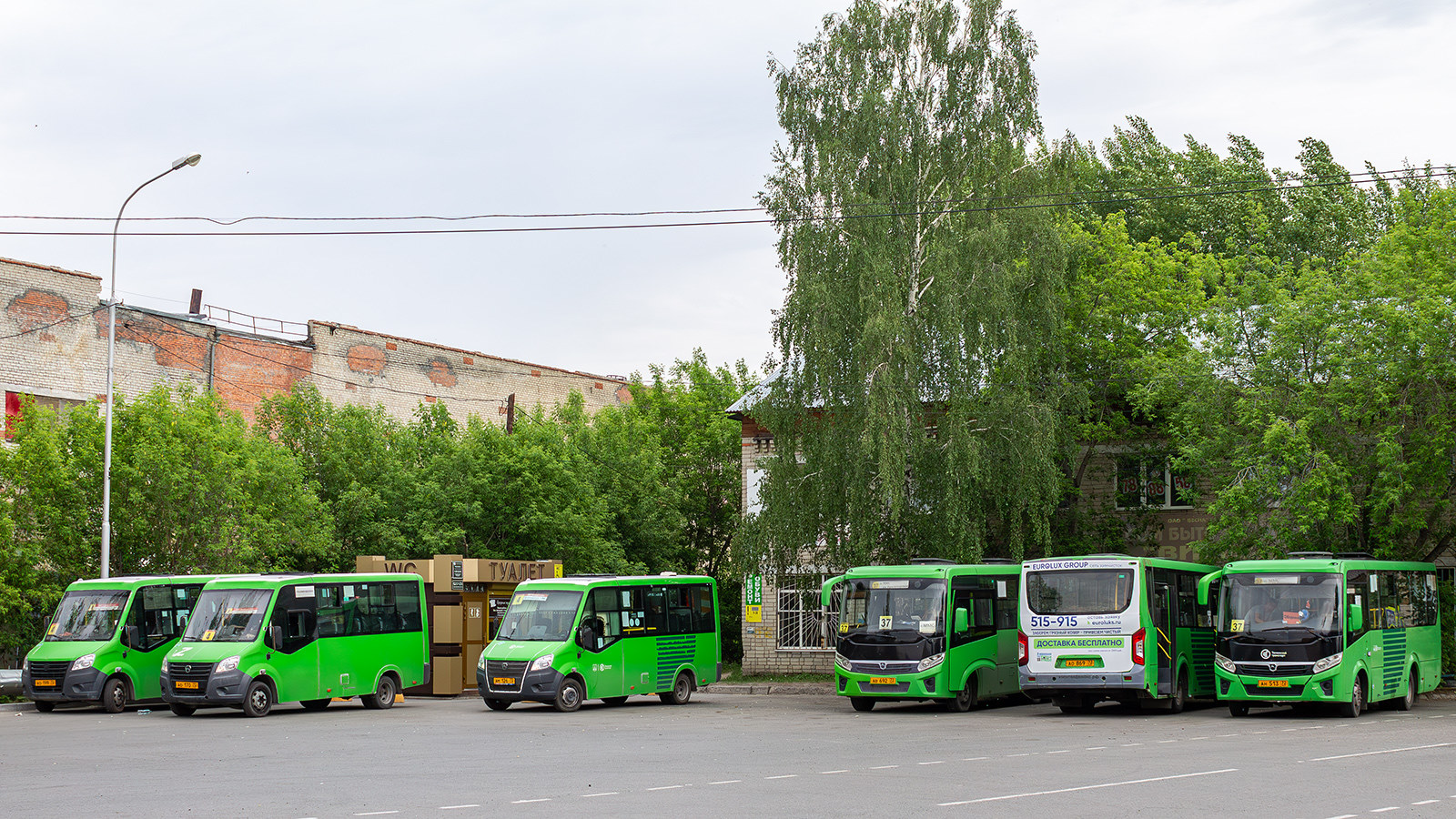 Цюменская вобласць, ГАЗ-A64R45 Next № АО 170 72; Цюменская вобласць, Луидор-2250DS (ГАЗ Next) № АМ 126 72; Цюменская вобласць, ПАЗ-320405-04 "Vector Next" № АН 513 72; Цюменская вобласць — Разные фотографии