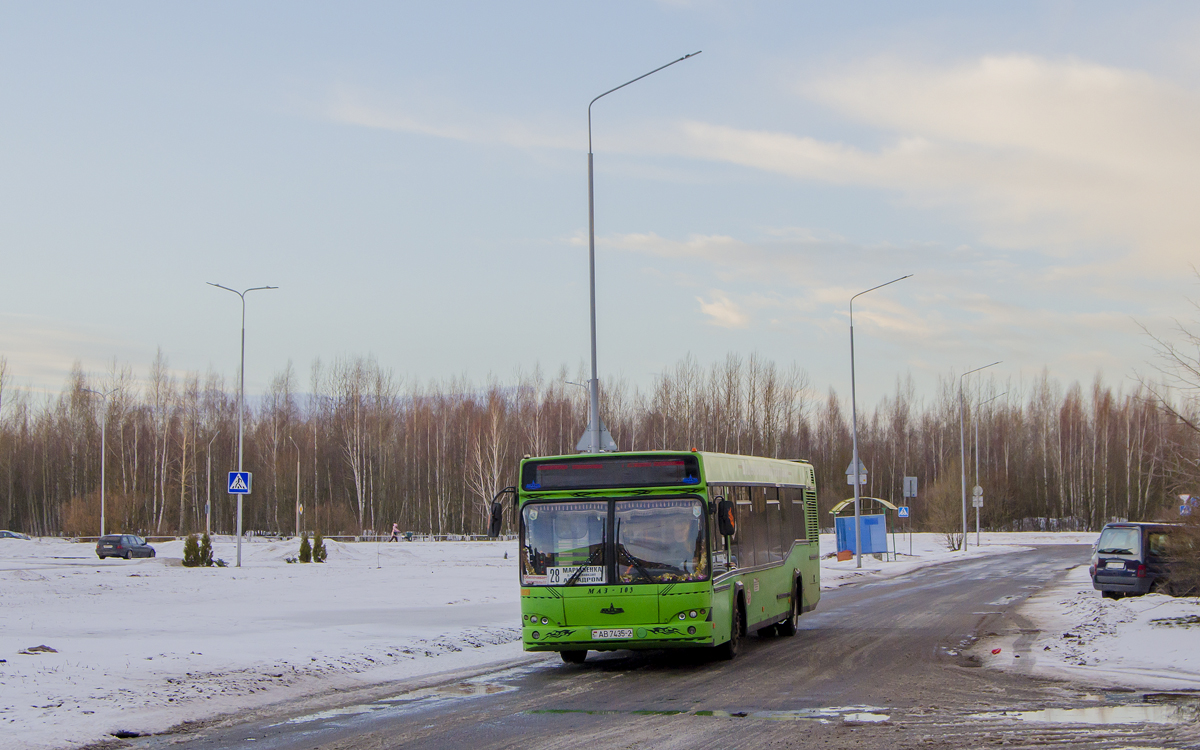 Витебская область, МАЗ-103.465 № 029939