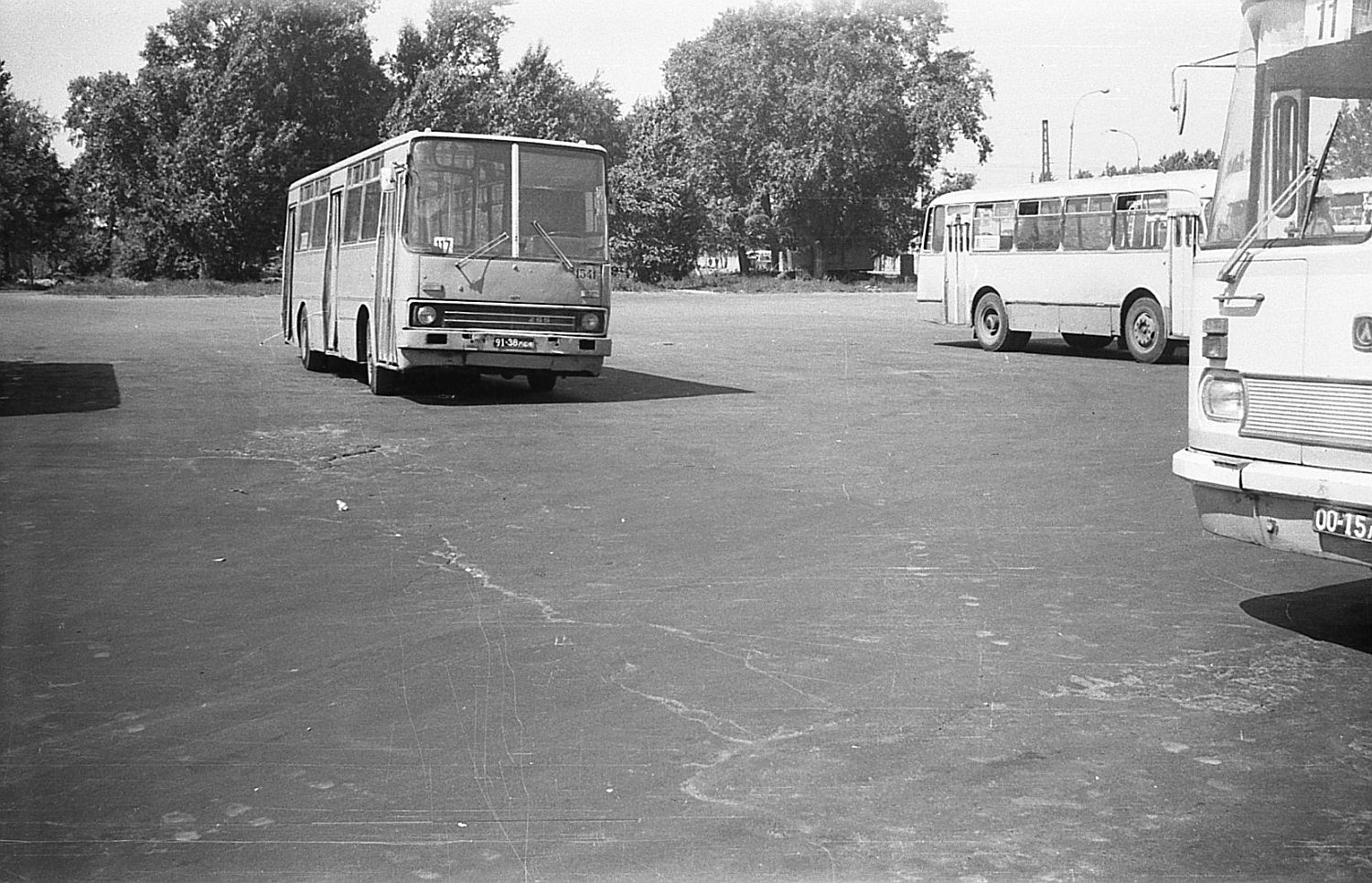 Санкт-Петербург, Ikarus 260.01 № 1541; Санкт-Петербург, ЛАЗ-695Н № 3245;  Санкт-Петербург — Автобусные станции; Санкт-Петербург — Старые фотографии —  Фото — Автобусный транспорт