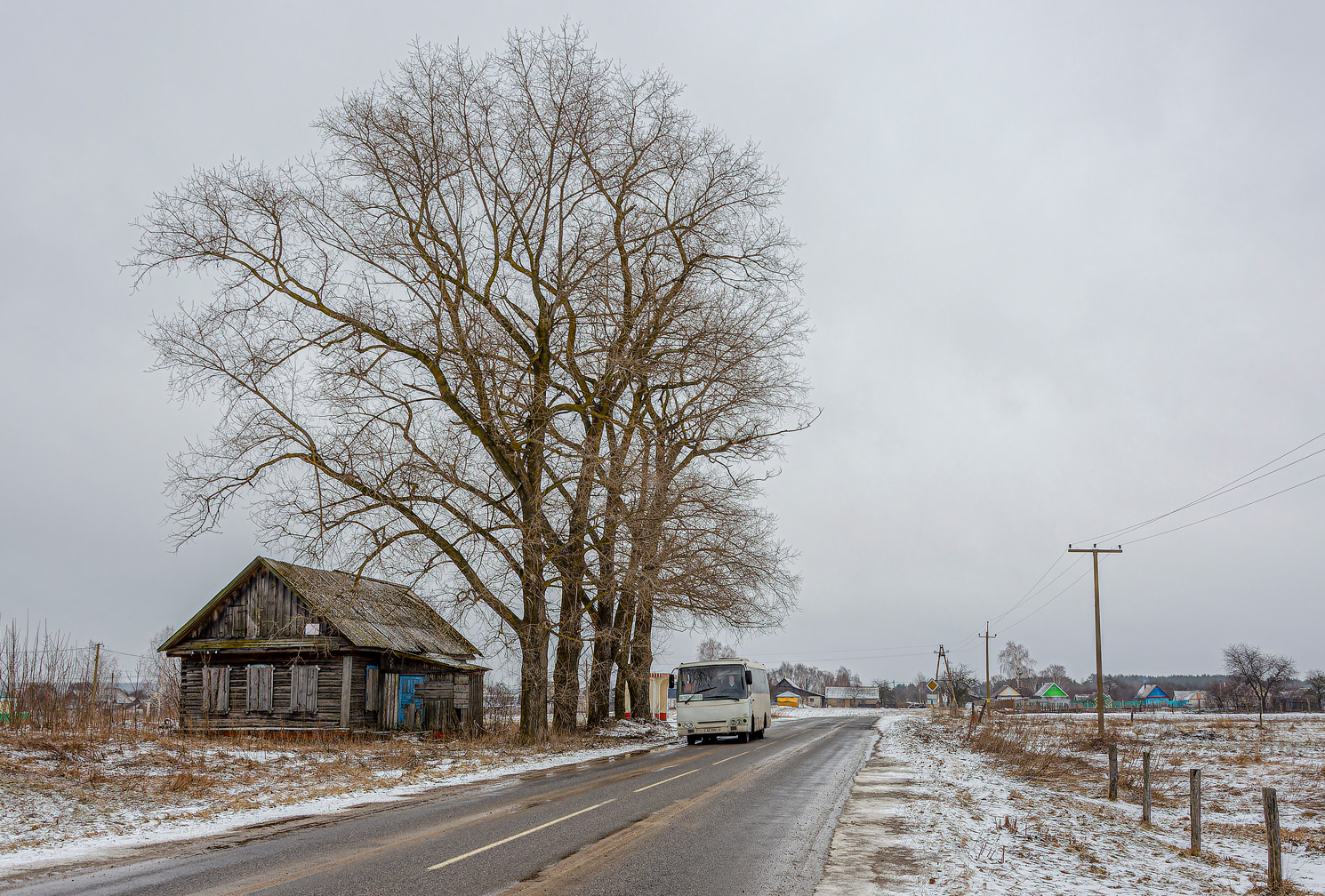 Gomel region, GARZ A09212 "Radimich" Nr. 015441; Gomel region — Miscellaneous photos