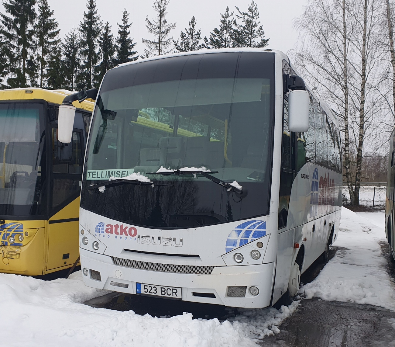 Эстония, Anadolu Isuzu Turquoise № 523 BCR