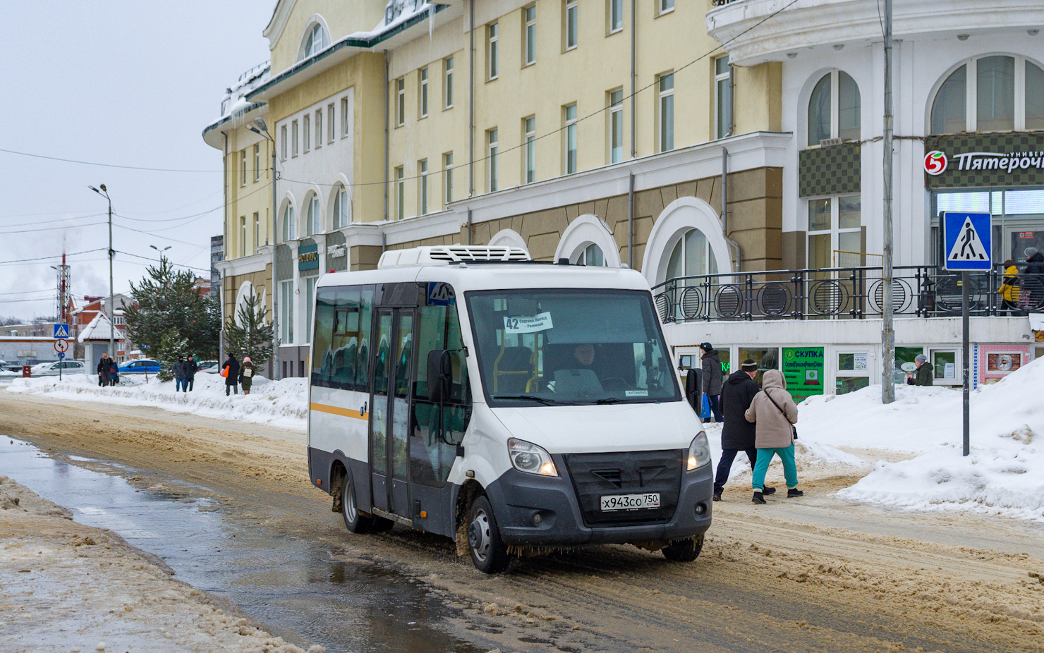 Московская область, Луидор-2250DS (ГАЗ Next) № 107943