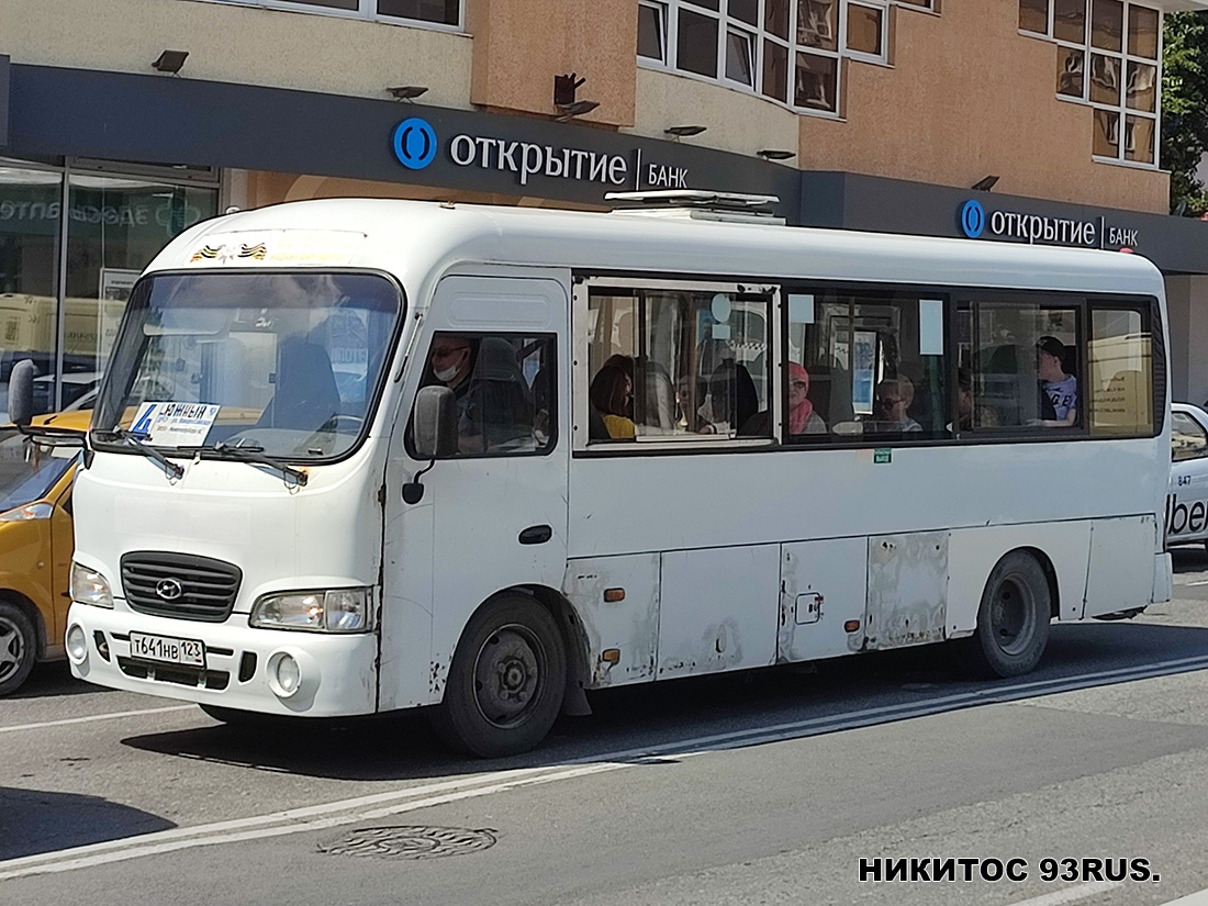 Краснадарскі край, Hyundai County LWB C11 (ТагАЗ) № Т 641 НВ 123