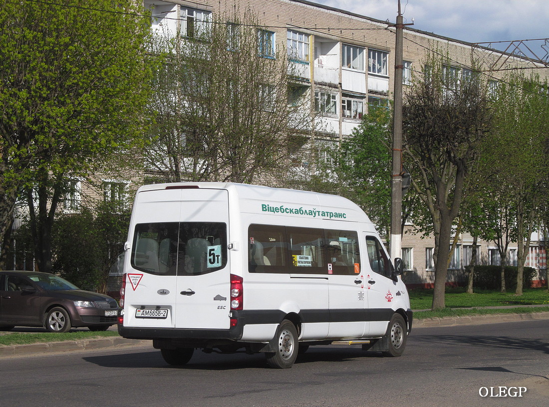 Витебская область, МАЗ-281.040 № АМ 6656-2