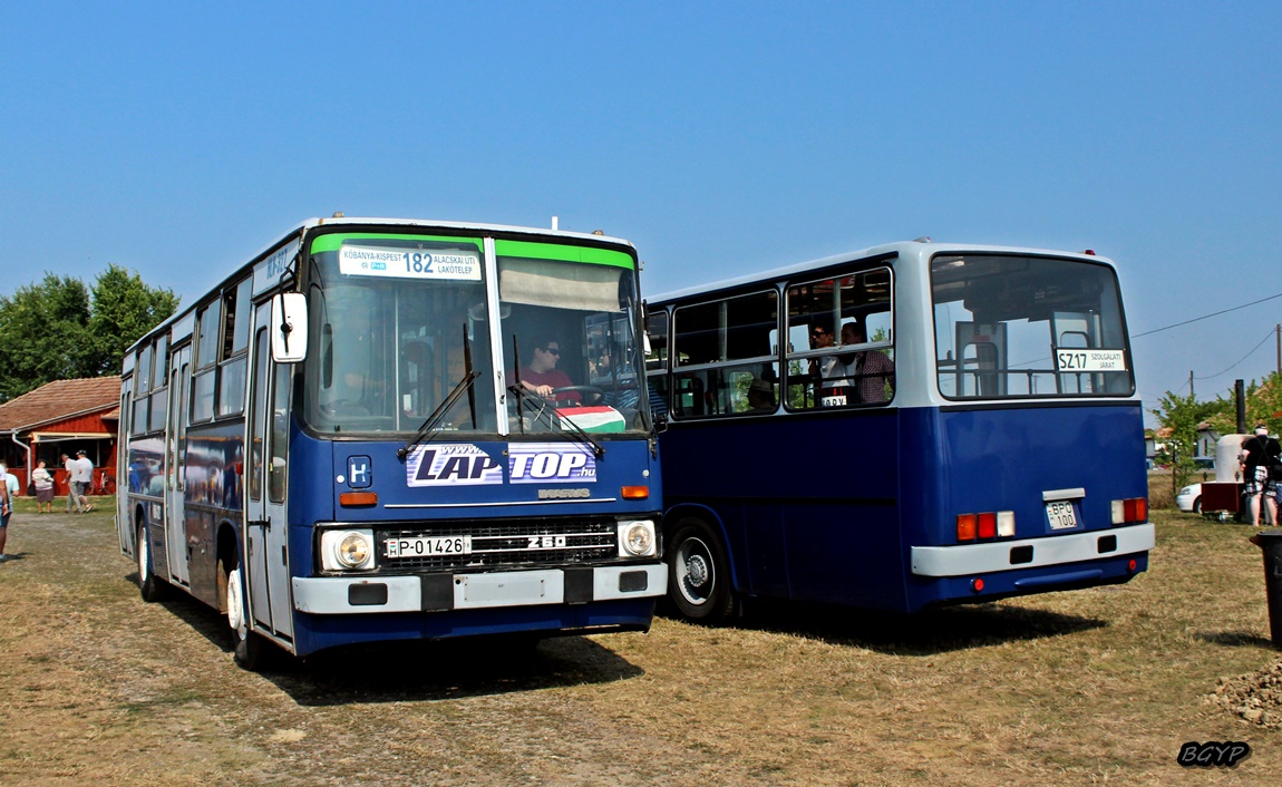 Венгрия, Ikarus 260.00 № P-01426 18; Венгрия — XI. Nemzetközi Ikarus, Csepel és Veteránjármű Találkozó, Folyás (2018)