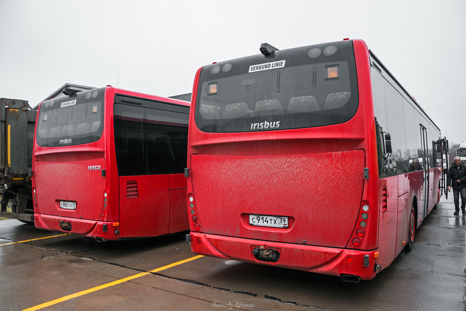 Калининградская область, Irisbus Crossway LE 12.8M № С 914 ТХ 39