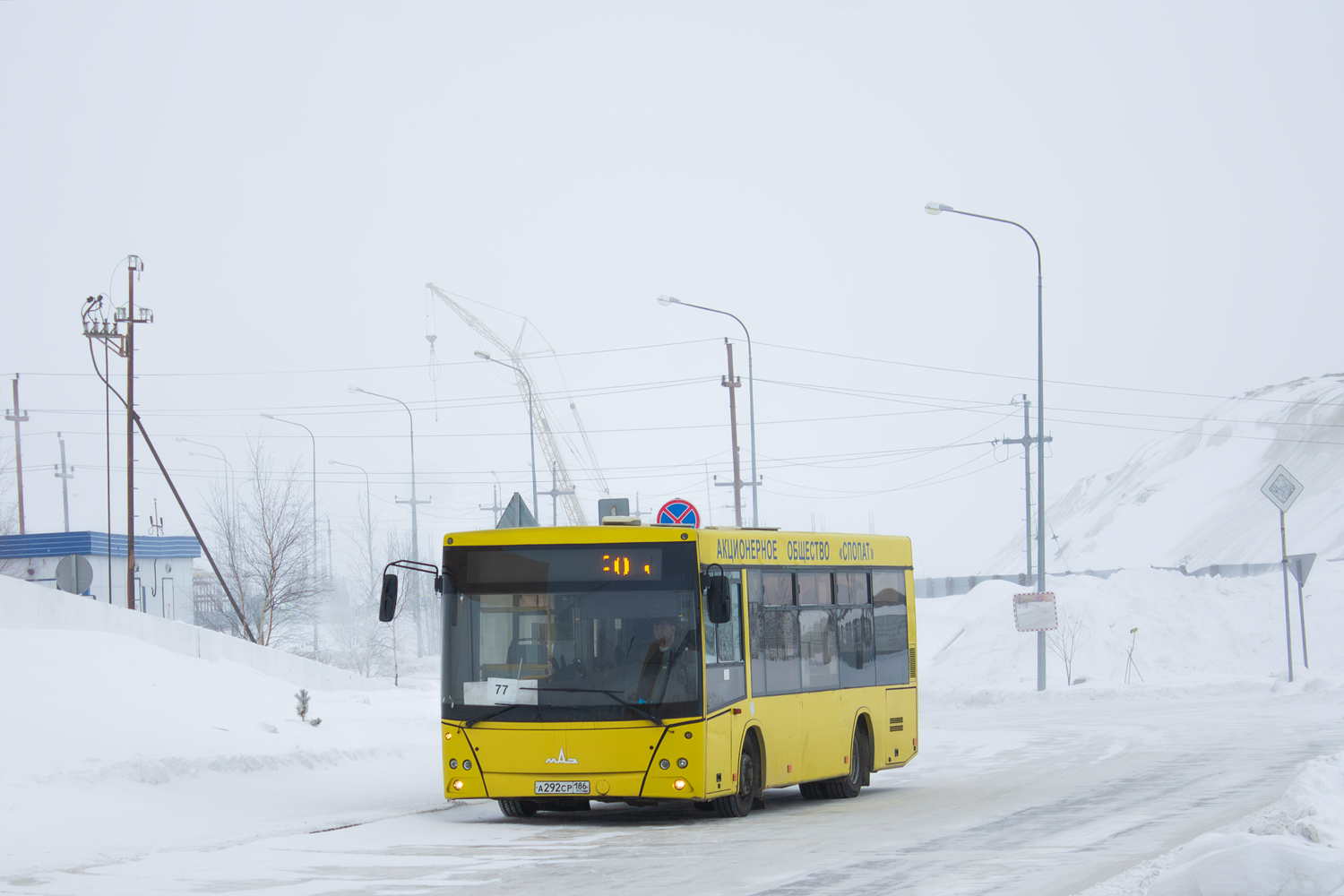 Ханты-Мансийский АО, МАЗ-206.086 № 2553