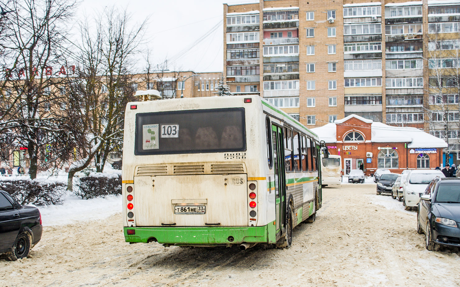 Владимирская область, ЛиАЗ-5256.36-01 № Т 861 НЕ 33