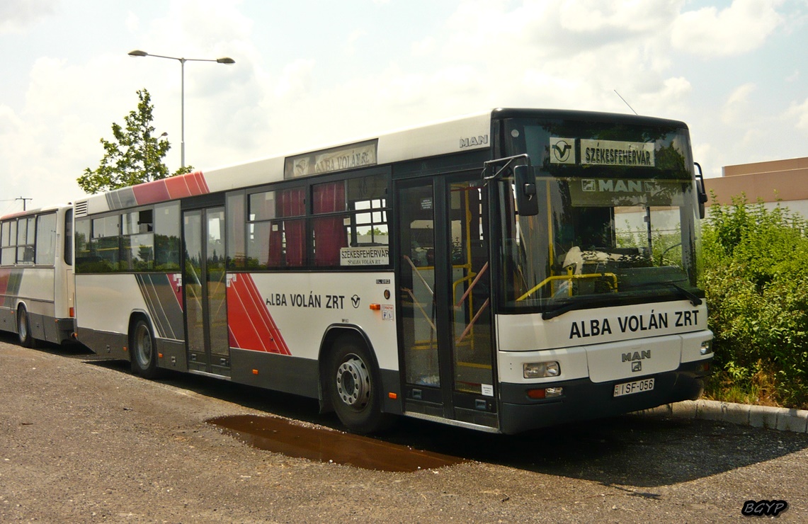 Венгрия, MAN A74 Lion's Classic SL283 № ISF-056 Венгрия, MAN A74 Lion's Classic SL283 № ISF-056