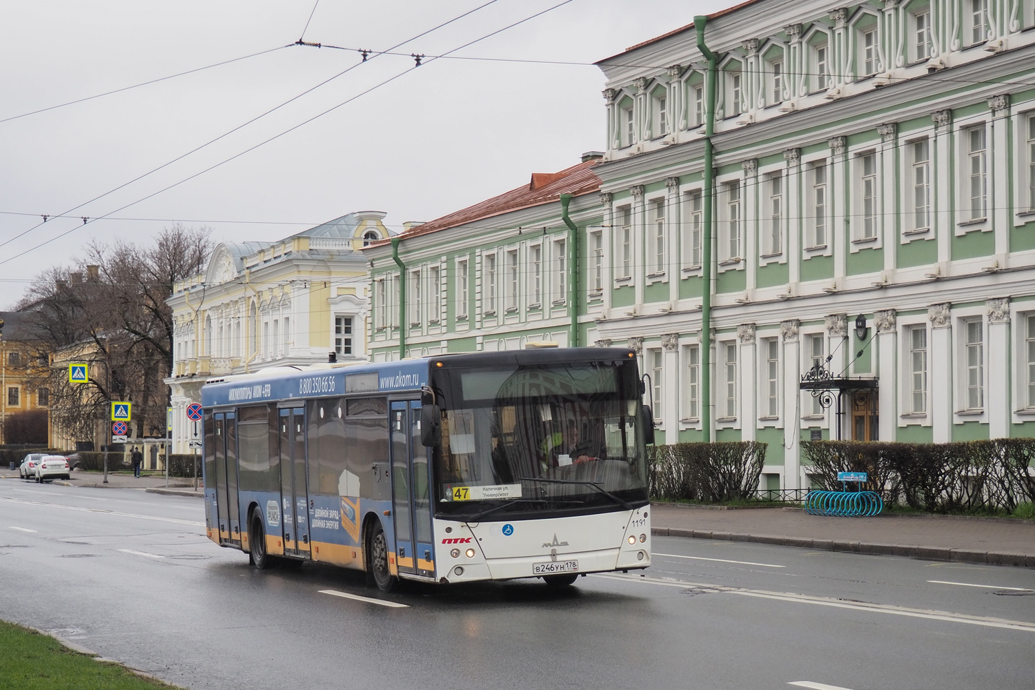 Санкт-Петербург, МАЗ-203.085 № n191