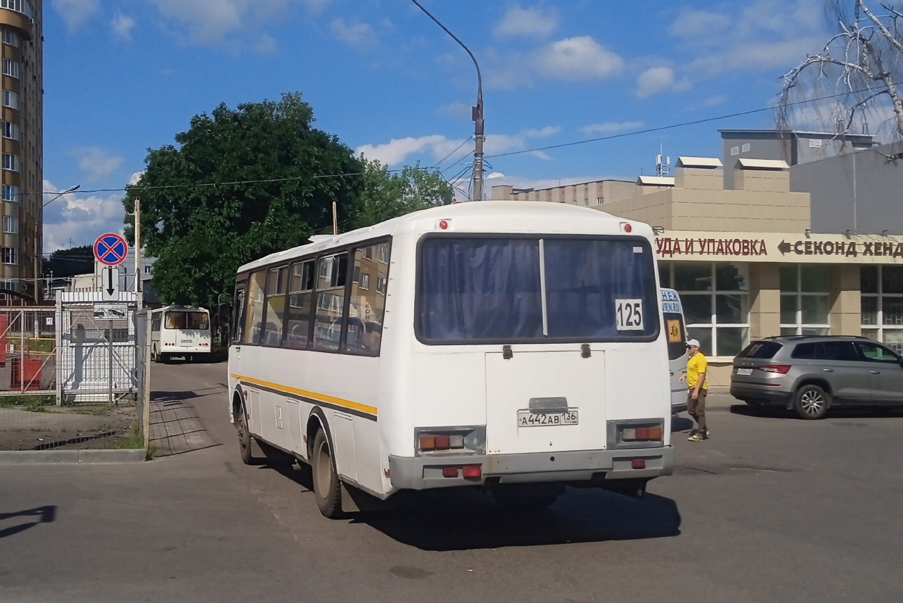 Воронежская область, ПАЗ-4234-05 № А 442 АВ 136