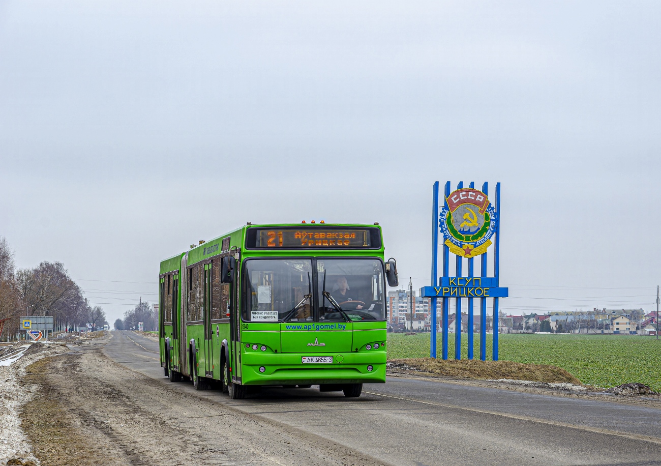 Гомельская область, МАЗ-105.465 № 015740