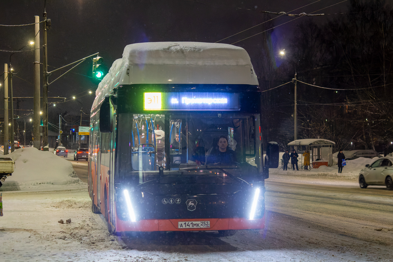 Нижегородская область, ЛиАЗ-6274 № 3007