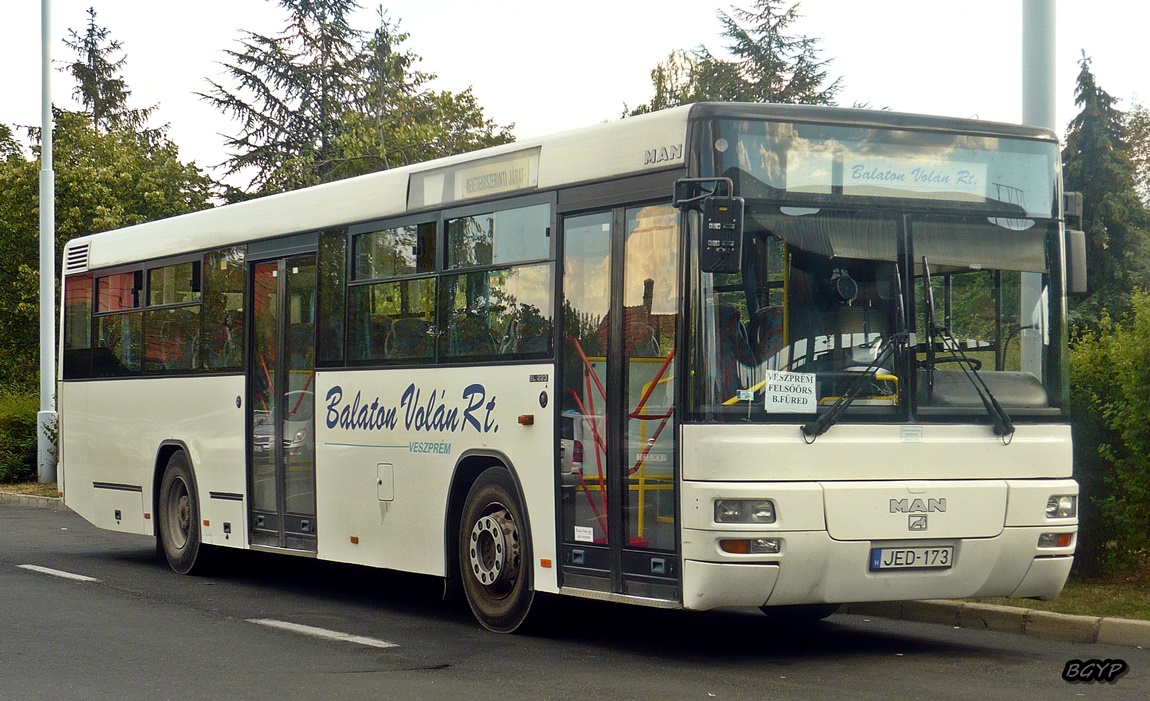 Венгрия, MAN A74 Lion's Classic SL223 № 402