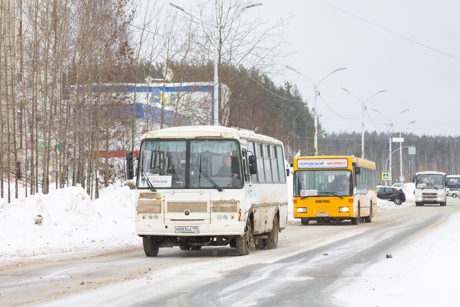 Пермский край, ПАЗ-4234-04 № М 083 КА 159