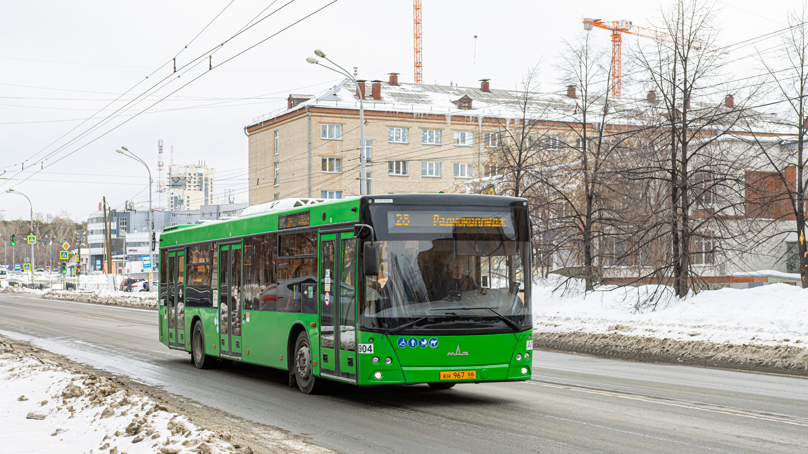 Свердловская область, МАЗ-203.015 № 904