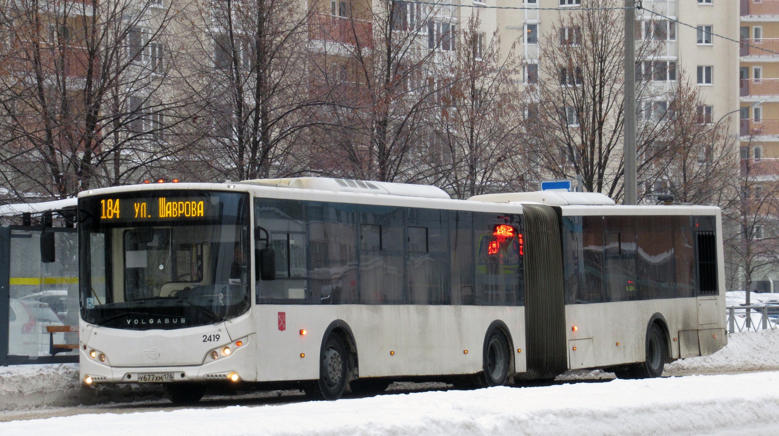 Санкт-Петербург, Volgabus-6271.05 № 2419