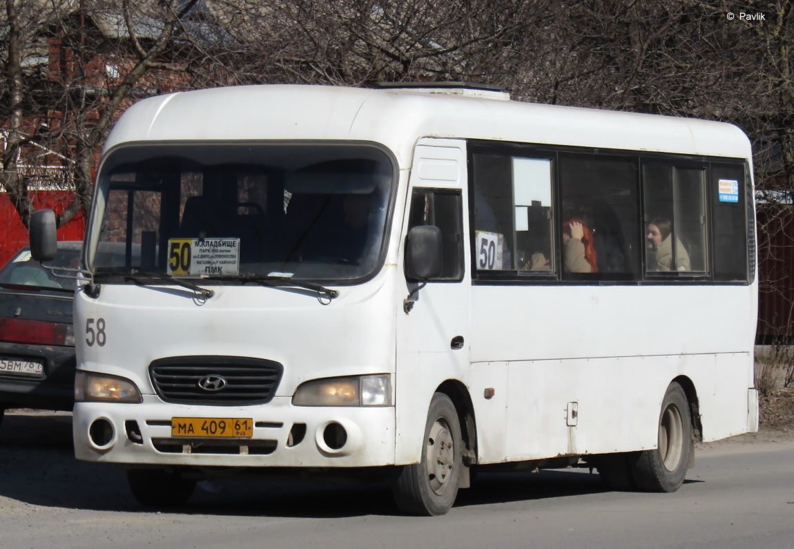 Ростовская область, Hyundai County LWB C09 (ТагАЗ) № 58