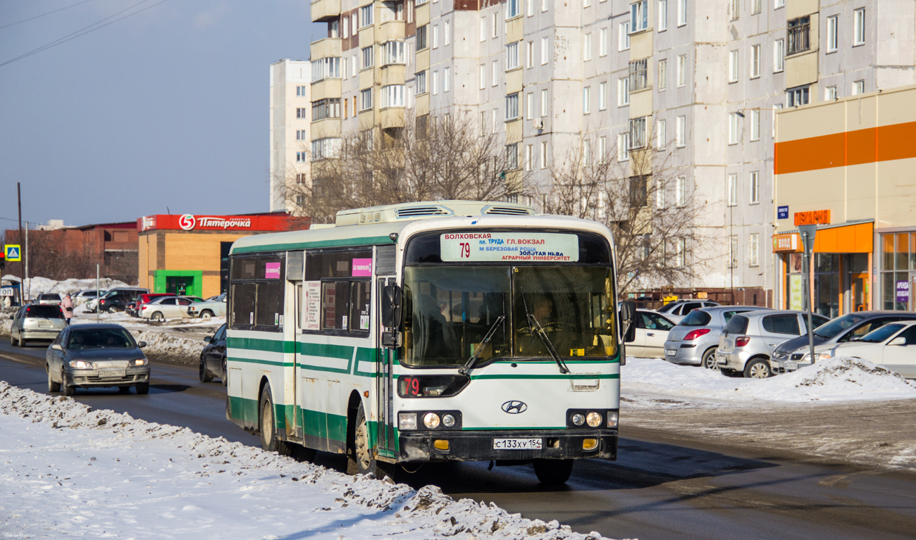 Новосибирская область, Hyundai AeroCity 540 № С 133 ХУ 154