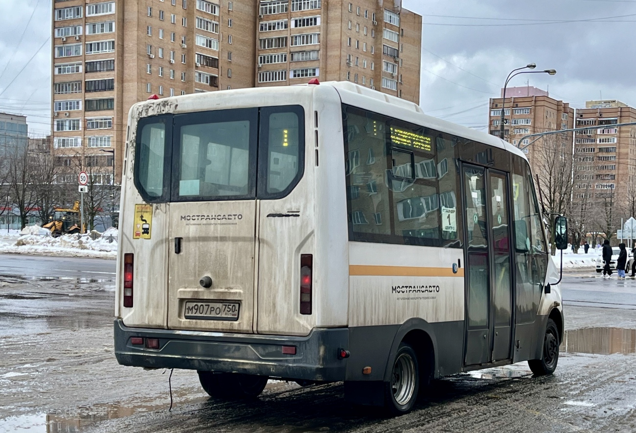 Московская область, Луидор-2250DS (ГАЗ Next) № 111403